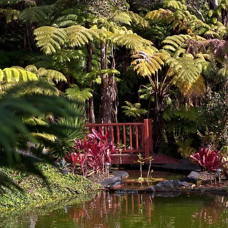 Chalet Kilauea فولكانو المظهر الخارجي الصورة