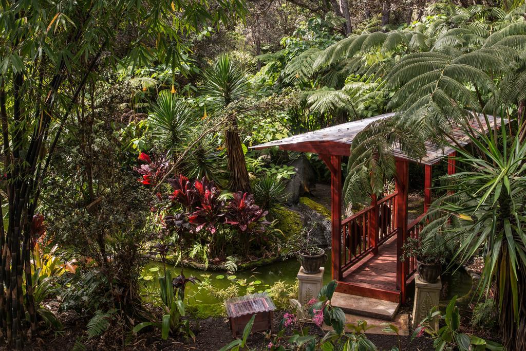 Chalet Kilauea فولكانو المظهر الخارجي الصورة
